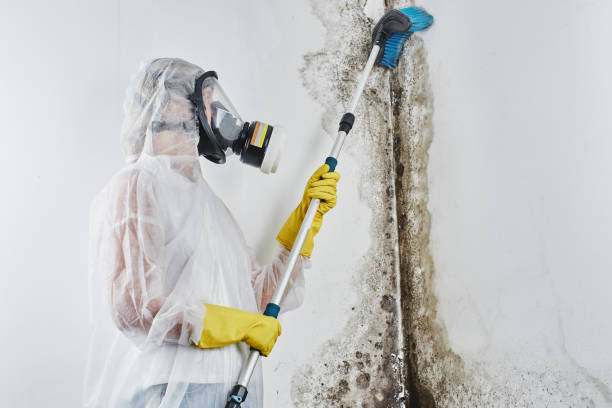 Water Damage Restoration in Troy, OH