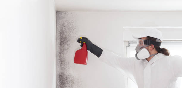Best Crawl Space Mold Removal  in Troy, OH